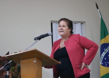 Primeira-dama em ação: Estado dá início a curso para servidores sobre a primeira infância