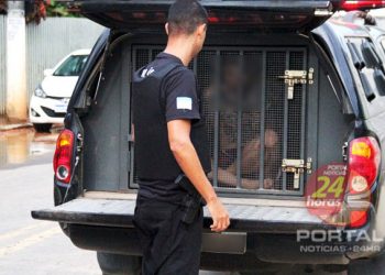 [Kennedy] Dois homens são presos acusados de furto de gado no município