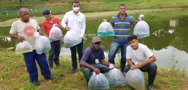 Inclusão: Ifes/Alegre ensina piscicultura sustentável em presídio de Cachoeiro de Itapemirim