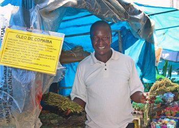 Artigo • Da Copaíba ao Viagra