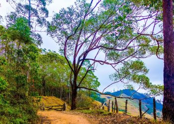 Richmont Vargem Alta