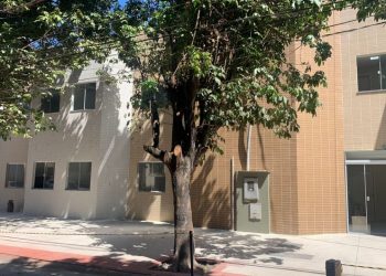 Vigilância Sanitária