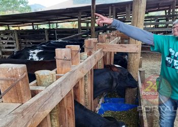 [Anchieta] Produtores participam de curso sobre alimentação de bovinos