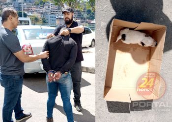 [Cachoeiro] Polícia Civil prende casal por tentativa de estelionato e armazenamento de pornografia infantil