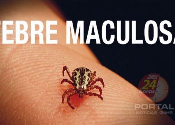 Febre Maculosa