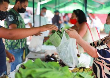 Serviços Feira Livre