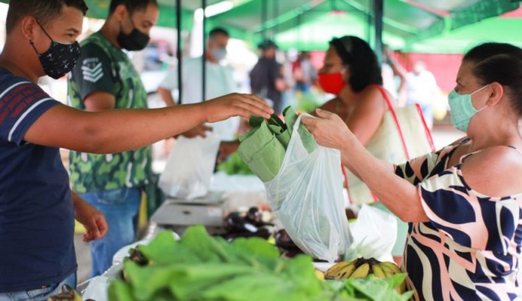 Serviços Feira Livre