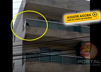 [VÍDEO] PC e Corpo de Bombeiros resgatam cães e pássaro em Guarapari-ES