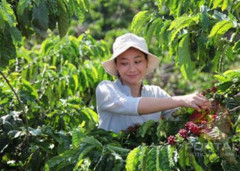 Nestlé lança NESCAFÉ PLAN 2030 para ajudar a impulsionar a agricultura regenerativa, reduzir as emissões de gases de efeito estufa e melhorar a vida dos agricultores