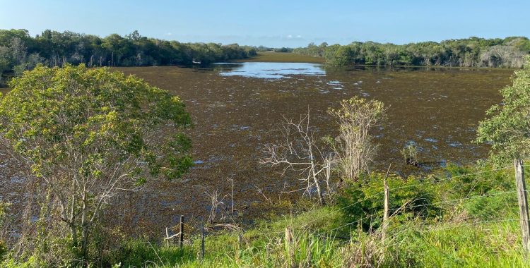 [Itapemirim] Prefeito assina Ordem de Serviço para remoção de plantas macrófitas na Lagoa Guannandy
