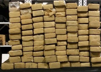 Polícia Militar apreende 90 tabletes de maconha durante ação policial no “Morro do Macaco”