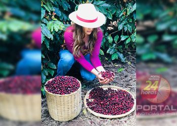 [Cafés Especiais do Cerrado Mineiro] Guima Café terá episódio em websérie sobre região produtora e os cafeicultores premiados de Minas Gerais