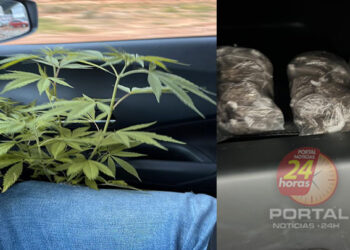 [MACONHA] Homem é preso com drogas escondidas em geladeira em Venda Nova do Imigrante-ES