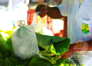 Feira livre do Gilberto Machado retoma atividades nesta quinta-feira (19) em Cachoeiro-ES