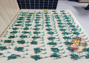 Polícia Militar apreende mais de mil pedras de crack no ES