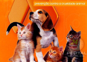 [Abril Laranja] Dia Mundial dos animais de rua