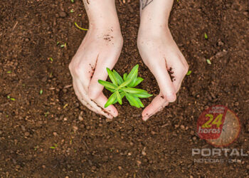 [Dia Mundial do Meio Ambiente] Como as empresas podem fazer a sua parte?