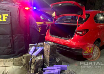 [MOTORISTA  DE APLICATIVO] PRF apreende mais de 300kg de maconha na BR 101, no ES