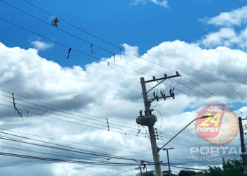 [Férias escolares] EDP faz alerta, mais de 65 mil capixabas impactados por pipas na rede elétrica em 2023 