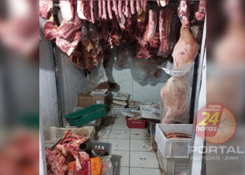 [Clandestino] Açougue e abatedouro são fechados e 500 quilos de carne é apreendida no ES