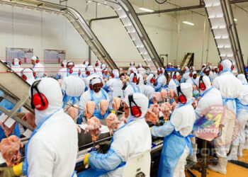 [Oportunidade] Uniaves abre contratações em Castelo-ES