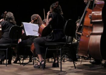 [Cachoeiro] Conselho Municipal de Política Cultural elegerá representantes da sociedade civil