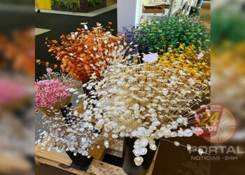 [ArteSanto] Maior Feira de Artesanato do Estado começa nesta sexta-feira (22)