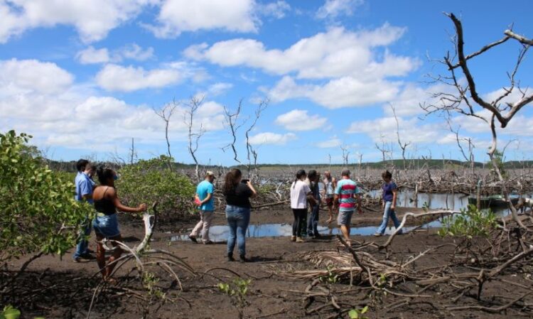 [Alerta] Maior manguezal do Espírito Santo corre o risco de desaparecer