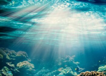 Crônica • Arioso da Cantata 156