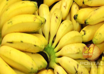 [Iconha] Concurso de Banana 2023