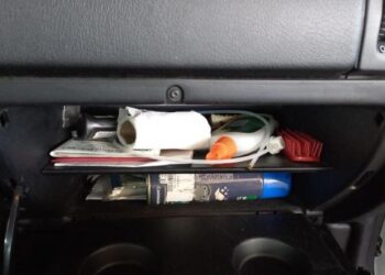 Crônica • Argumentos da Vida