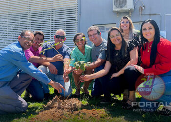 [Marataízes] Prefeito encerra semana da árvore com plantio de ipê na área externa da Prefeitura