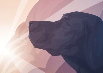 Crônica • O Cachorro de Deus do Córrego dos Monos