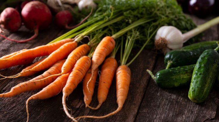 Agroindústria de Vila Velha será certificada para vender produtos em todo Estado