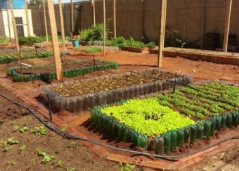 Estudantes de Cachoeiro participam da ‘Feira de Ciências e Inovação Capixaba’