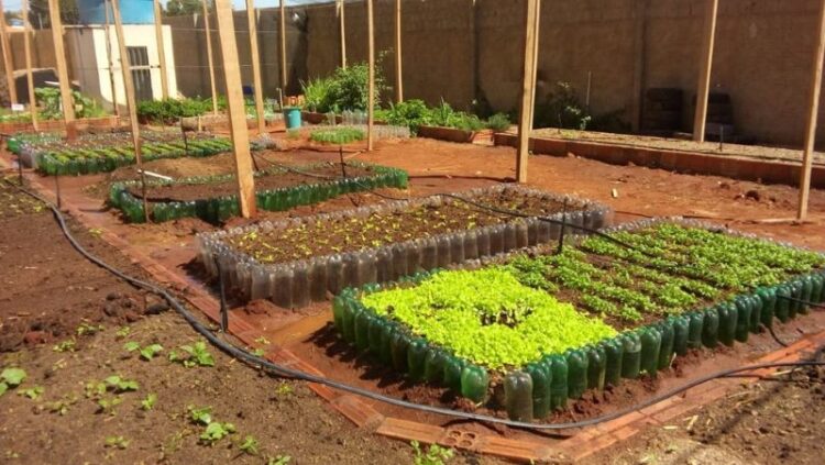 Estudantes de Cachoeiro participam da ‘Feira de Ciências e Inovação Capixaba’