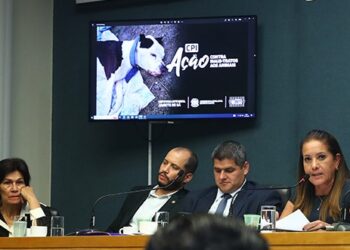 CPI dos Maus-Tratos apura morte de pitbull em Vitória. Pode ter sido envenenado