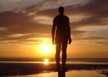 Crônica • Companheiro Sol