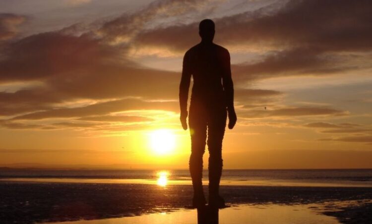 Crônica • Companheiro Sol