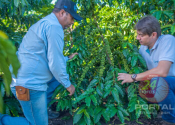 Calor intenso vai gerar prejuízos para a agricultura no ES e no País