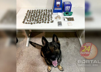 [Guarapari] Homem com mandado de prisão detido e mulher capturada por tráfico de drogas