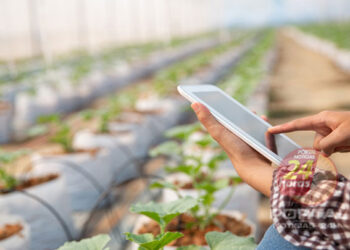 Reflexos positivos da tecnologia no agro serão debatidos em Vargem Alta