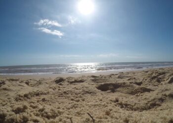 Crônica • Aqui, o Mar não é Morto