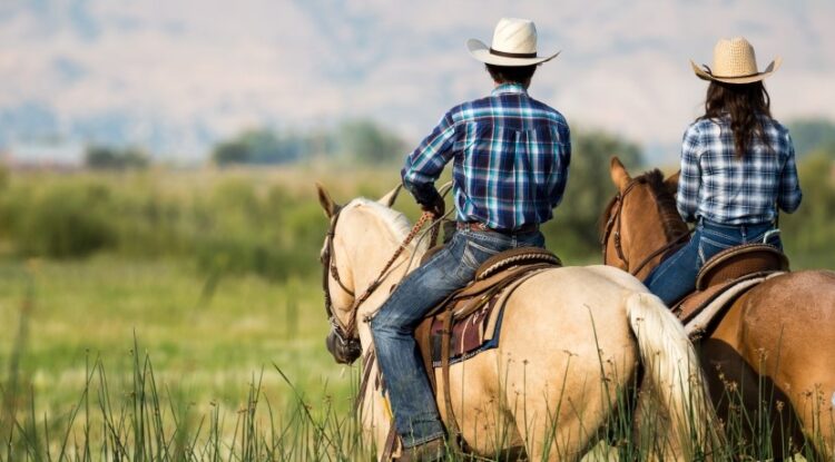 Crônica • Plantão 24H