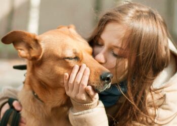 [Cachoeiro] Fim de semana tem feira de adoção de pets na Praça de Fátima e no Coronel Borges