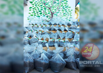 [BRK] Borra de café gerada na empresa em Cachoeiro vira adubo orgânico no gongolário da empresa