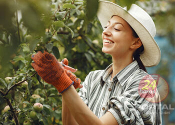 Sebrae/ES e Setur oferecem consultoria gratuita em turismo de experiência