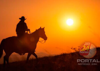 Crônica • Saudoso do lar