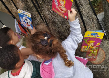 [Cachoeiro] Conselho Municipal dos Direitos da Criança e do Adolescente elegerá novos membros