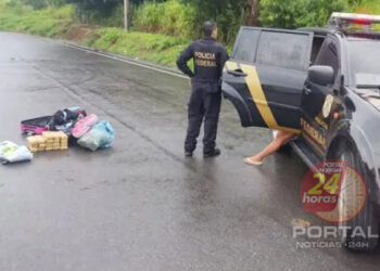 [Tráfico de drogas] Mulher é presa com 18 tabletes de maconha na BR-101